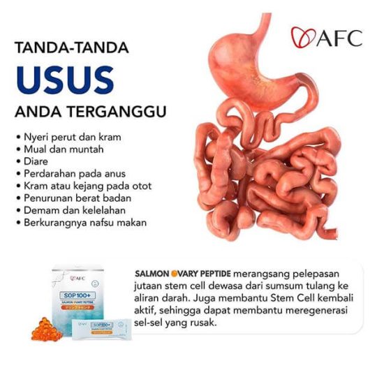 tanda masalah pada usus