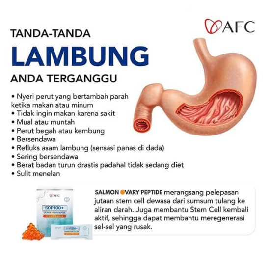 tanda masalah pada lambung