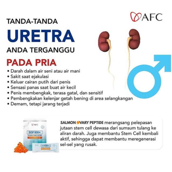 tanda masalah pada Uretra