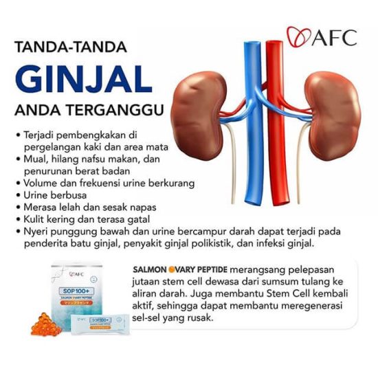 tanda masalah pada Ginjal