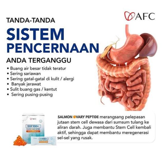 tanda masalah pada System Percernaan