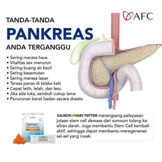 tanda masalah pada Pangkreas